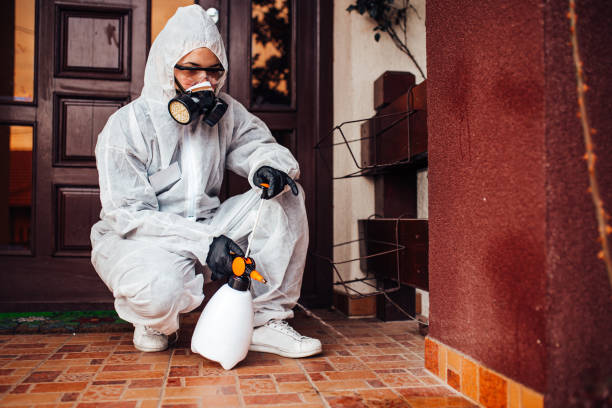 Reliable Cockroach Control contractor in Hattiesburg, MS by Nex Pest Control